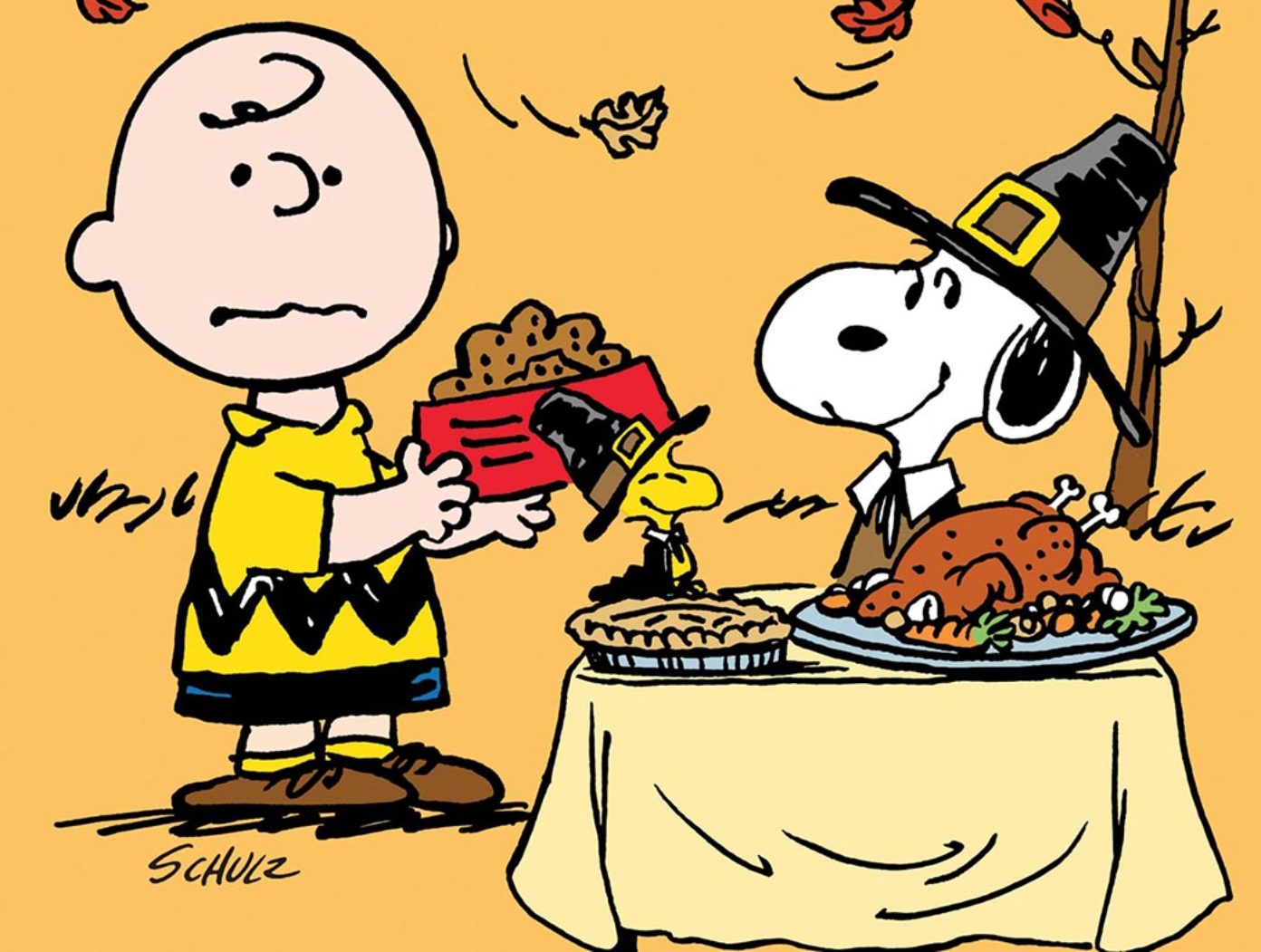 A Charlie Brown Thanksgiving (1973) - SMCB 253.